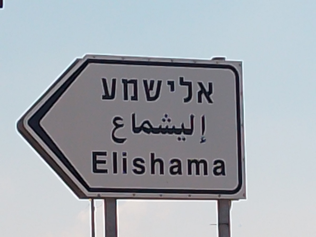 תמונת_מאמר
