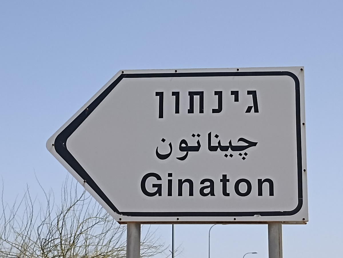 תמונת_מאמר