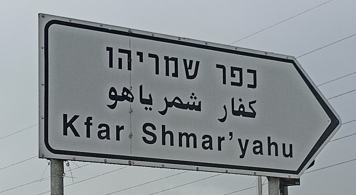 תמונת_מאמר